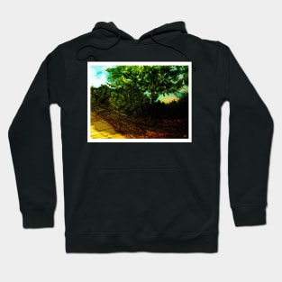 Fallow Field, Water of Leith: Halftone version Hoodie